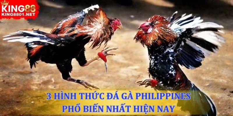 3 hình thức đá gà Philippines phổ biến hiện nay