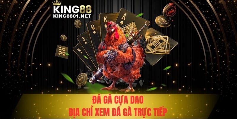 Đá gà cựa dao - Địa chỉ xem đá gà cựa dao trực tiếp
