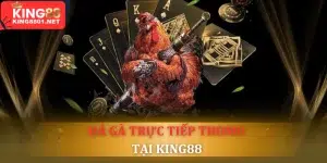 Đá gà trực tiếp Thomo - Địa chỉ xem uy tín, an toàn 2024