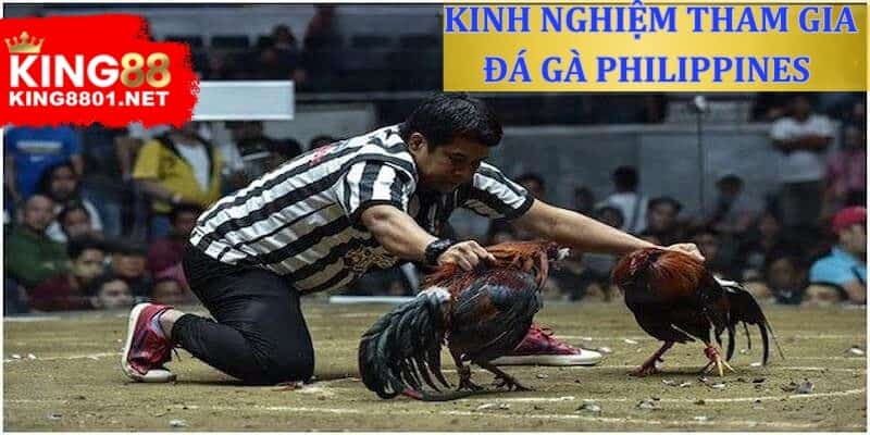 Kinh nghiệm tham đá gà Philippines kê thủ cần biết