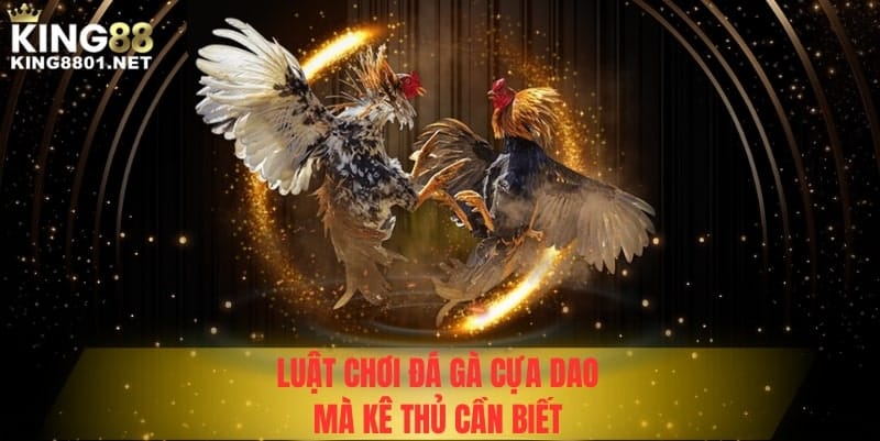 Luật chơi đá gà cựa dao kê thủ cần biết