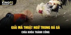 Giải mã thuật ngữ trong đá gà - chìa khóa thành công