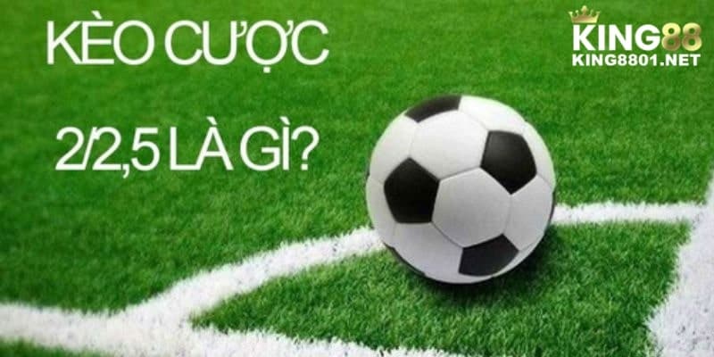 Bí quyết khi đặt cược tài xỉu 2-2.5 là gì?