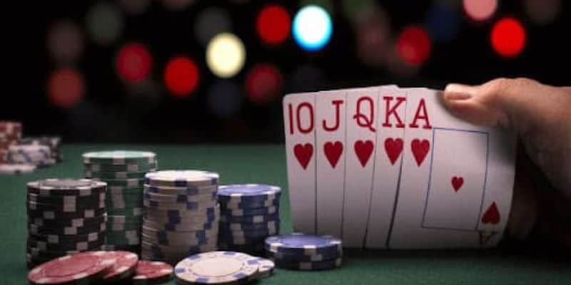 Tổng quan về khái niệm bài Catte là gì? Tổng quan về khái niệm bài Catte là gì?